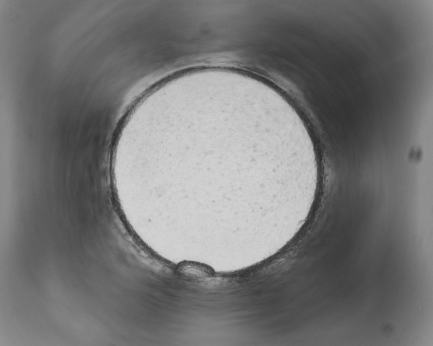 X0000112911176200910051035
