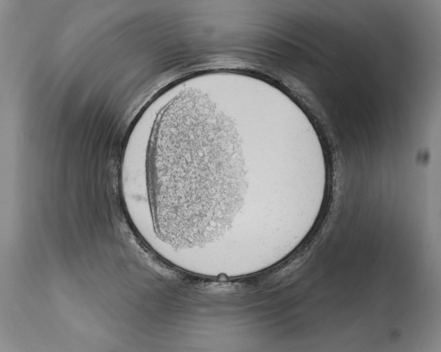 X0000112911177200910051035