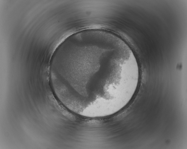 X0000112911178200910051035