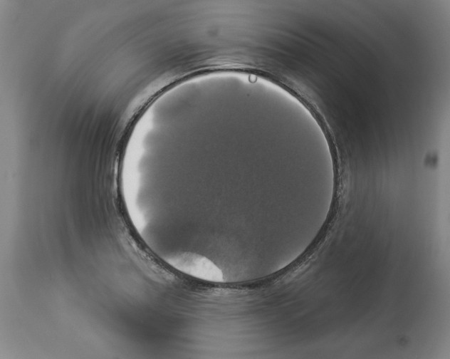 X0000112911179200910051035