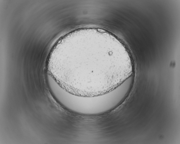 X0000112911181200910051035