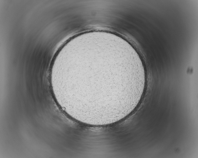 X0000112911182200910051035