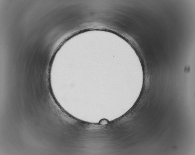 X0000112911183200910051035