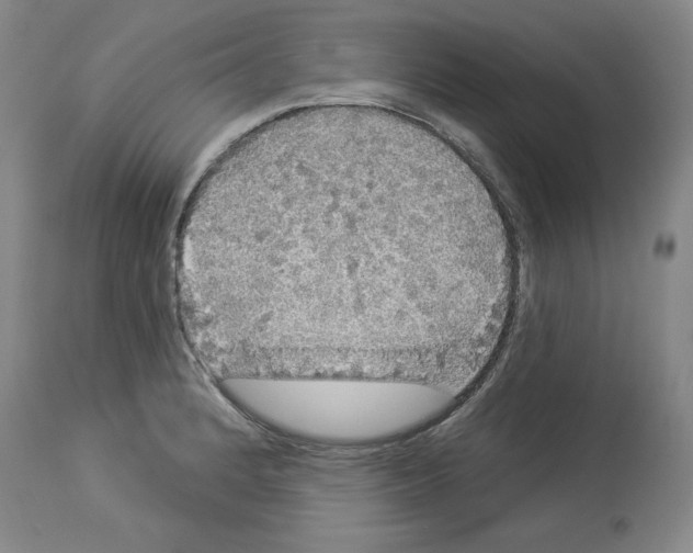 X0000112911184200910051035
