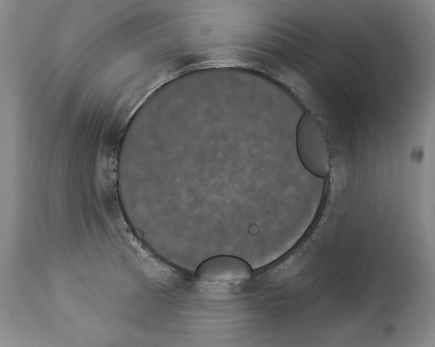 X0000112911185200910051035