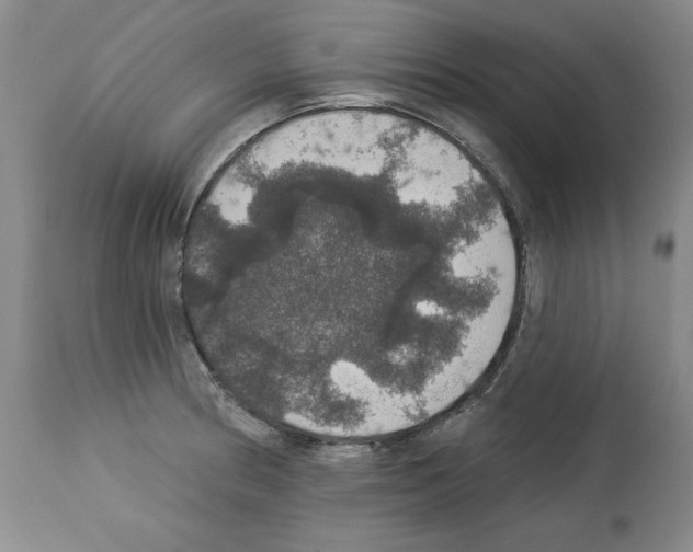 X0000112911186200910051035