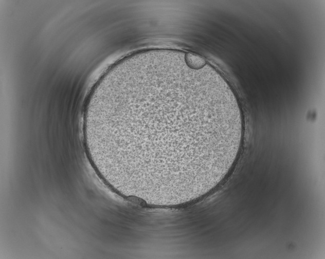 X0000112911188200910051035