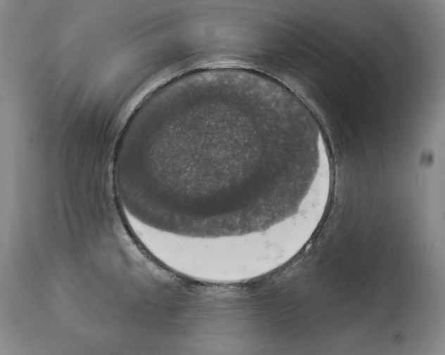X0000112911189200910051035