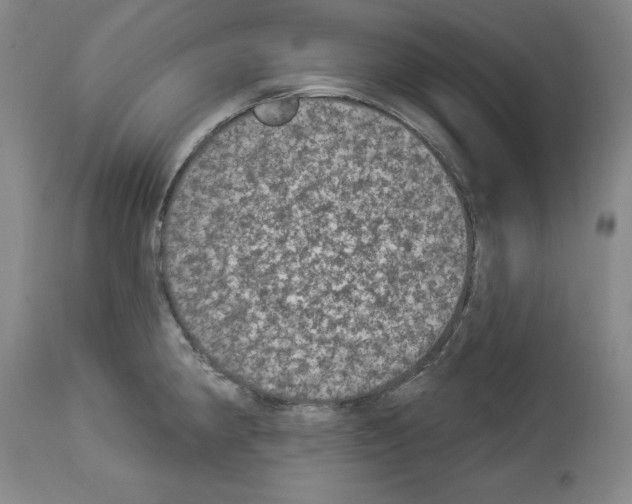 X0000112911190200910051035