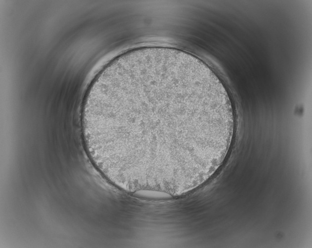 X0000112911192200910051035