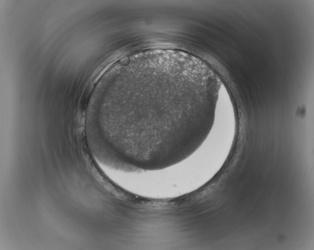 X0000112911193200910051035