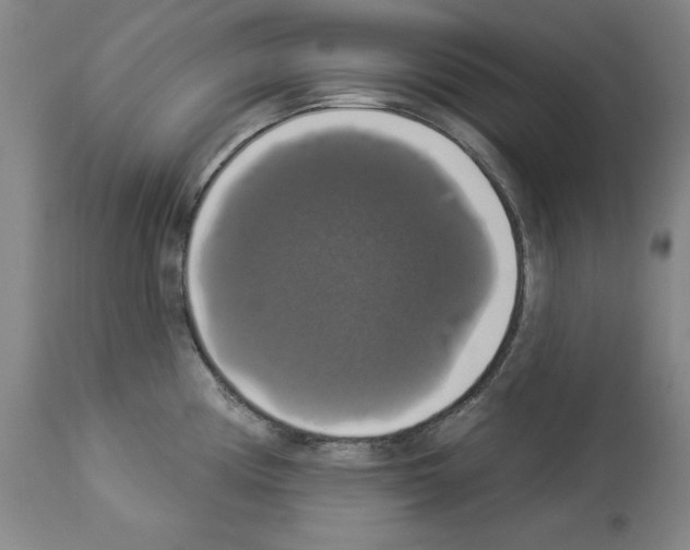 X0000112911194200910051035