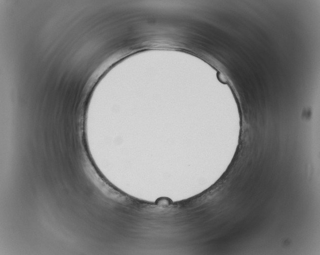 X0000112911195200910051035