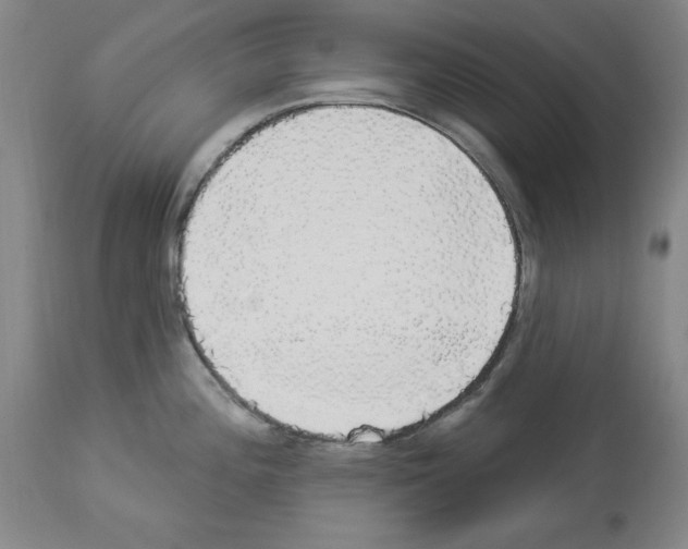 X0000112911196200910051035
