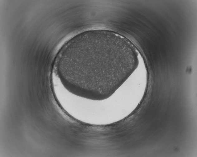 X0000112911197200910051035