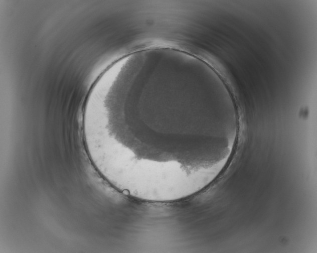 X0000112911198200910051035