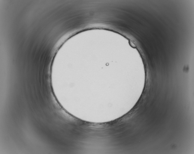 X0000112911199200910051035