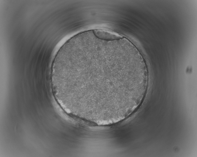 X0000112911200200910051035
