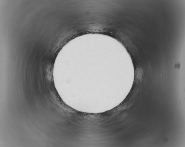 X0000112911202200910051034
