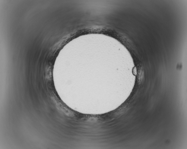 X0000112911204200910051034