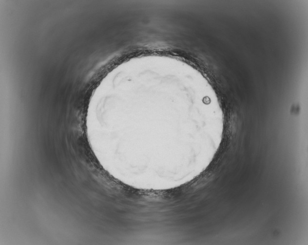 X0000112911205200910051034