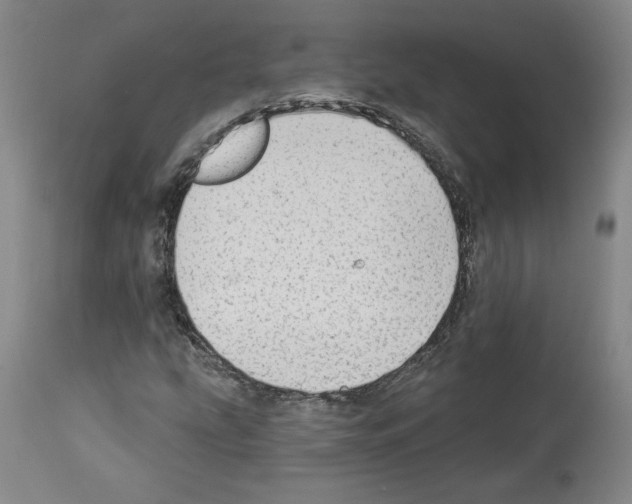X0000112911207200910051034