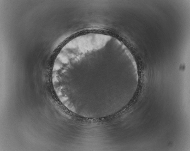 X0000112911208200910051034