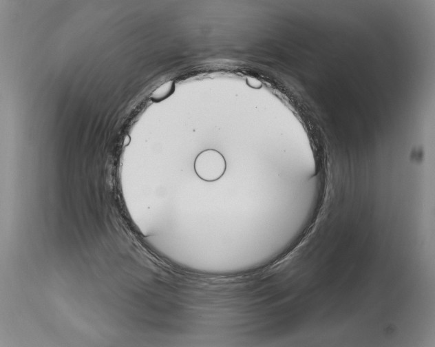 X0000112911209200910051034