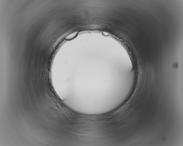 X0000112911210200910051034