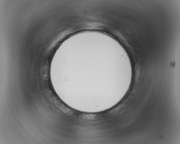 X0000112911211200910051034