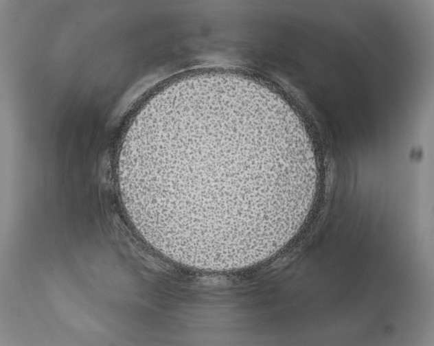 X0000112911215200910051034