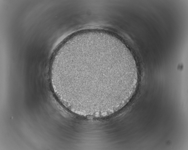 X0000112911216200910051034