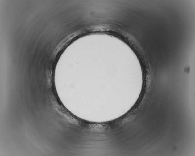X0000112911217200910051034