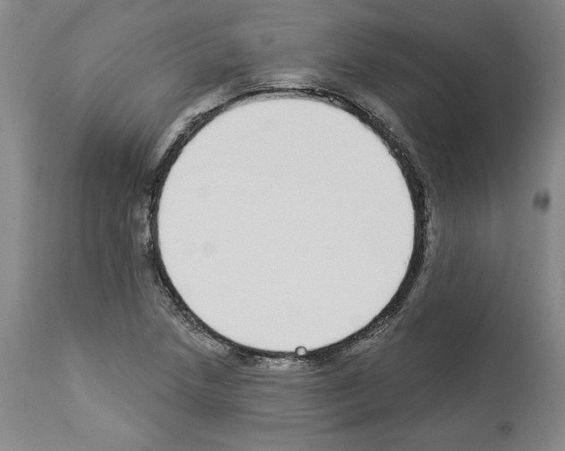 X0000112911218200910051034