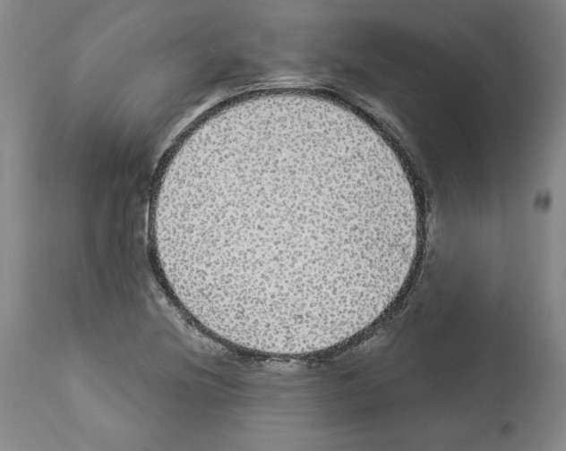 X0000112911220200910051034