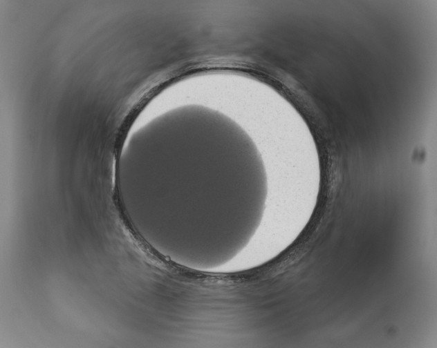 X0000112911221200910051034