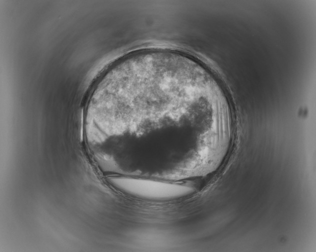 X0000112911223200910051034