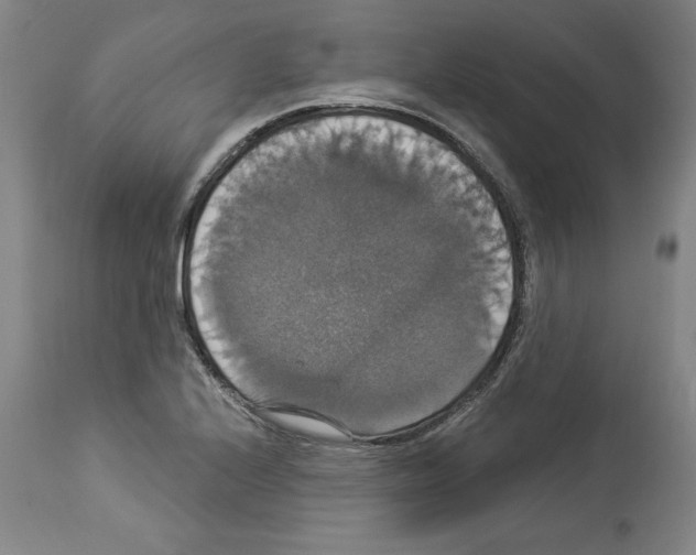 X0000112911224200910051034