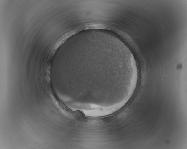 X0000112911225200910051034