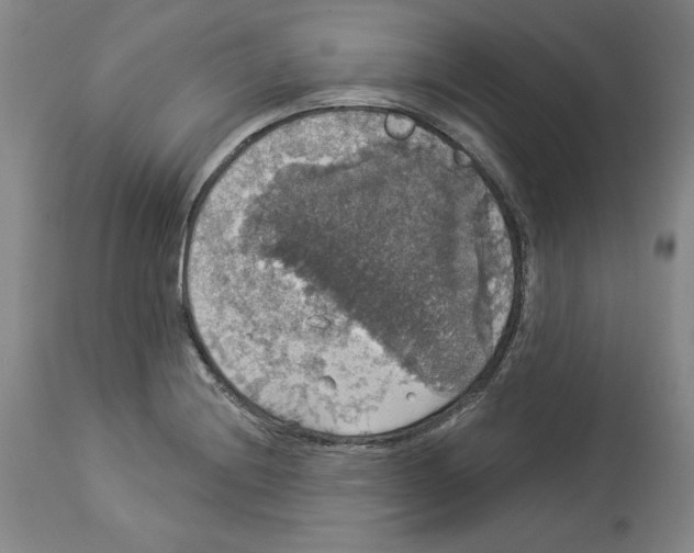 X0000112911228200910051035