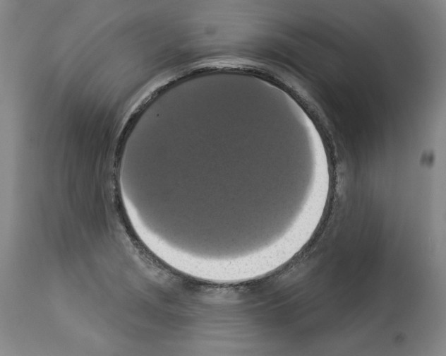 X0000112911229200910051035