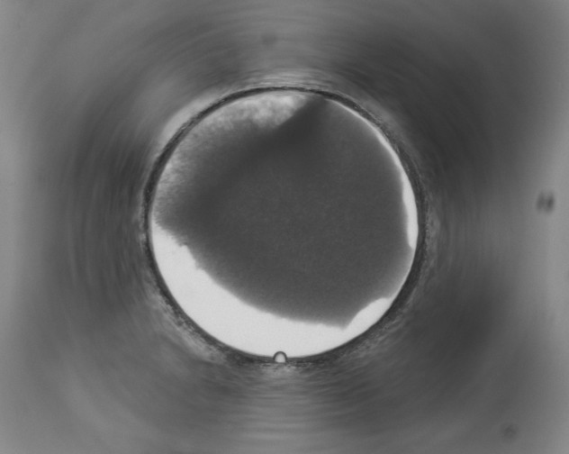 X0000112911230200910051035