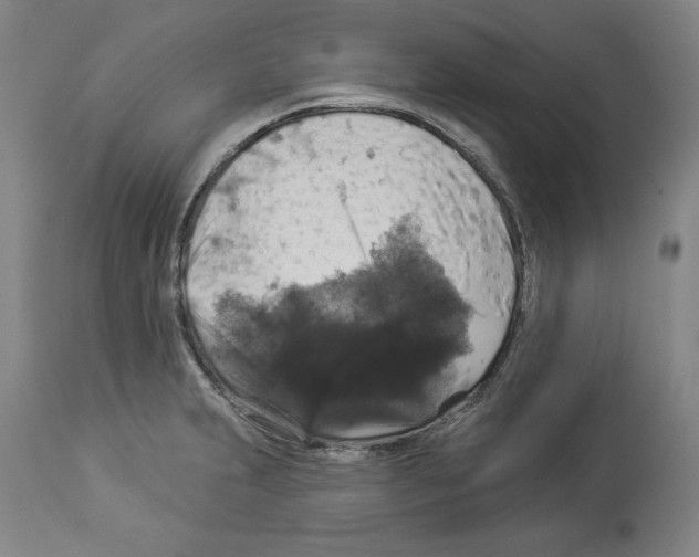 X0000112911231200910051035