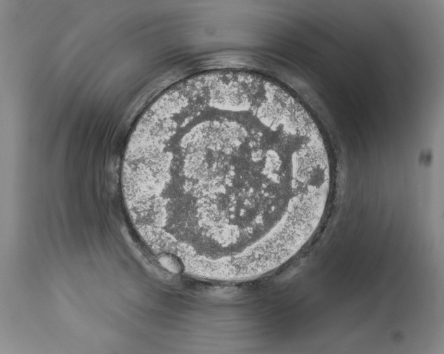 X0000112911233200910051035
