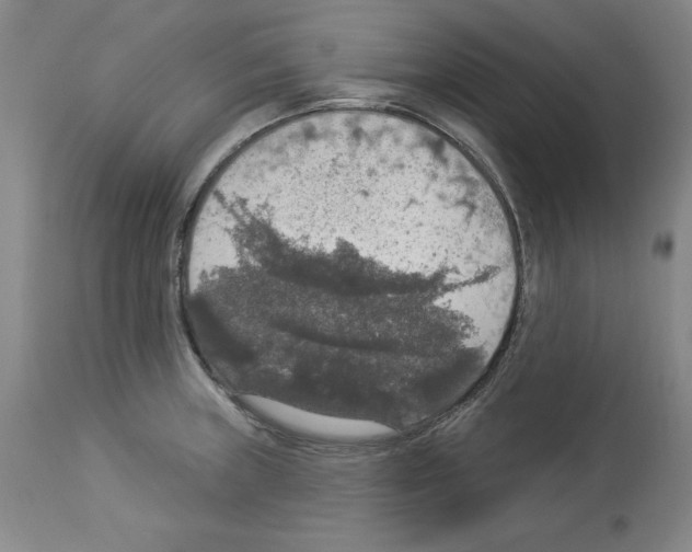 X0000112911235200910051035