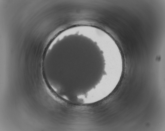 X0000112911237200910051035