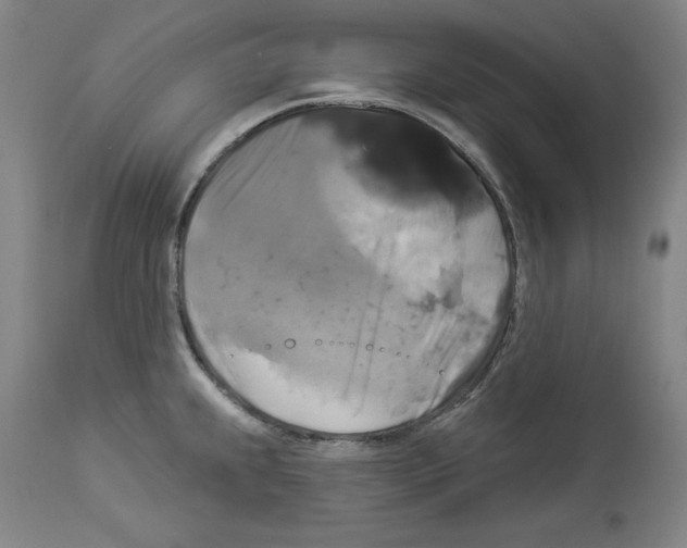 X0000112911239200910051035