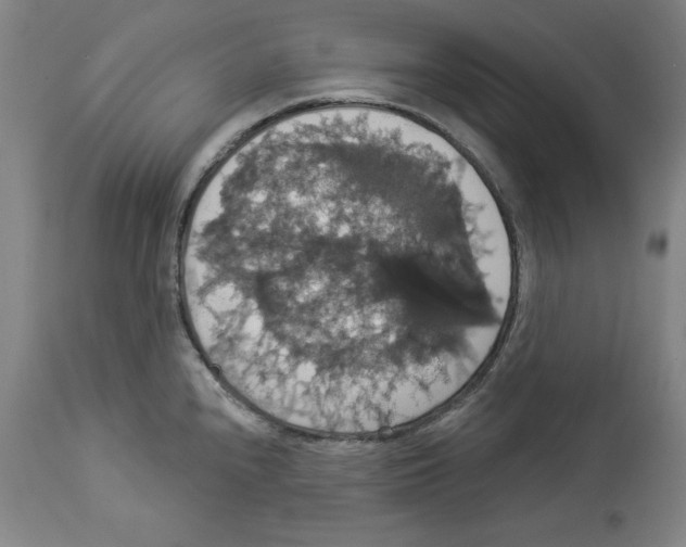 X0000112911240200910051035