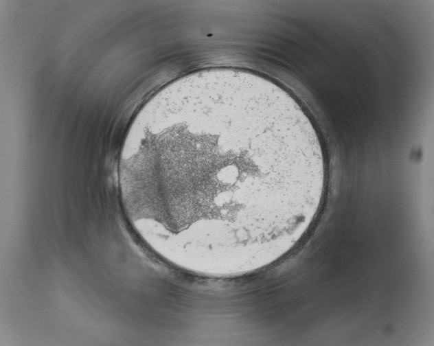 X0000112911241200910051035