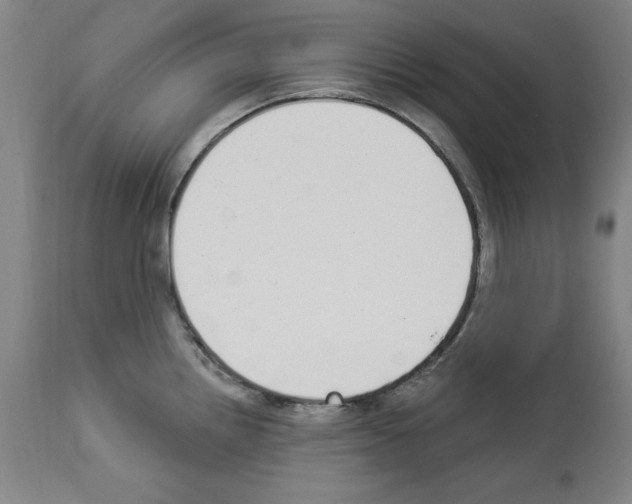 X0000112911242200910051035